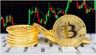 巴菲特股東大會熱潮背后的資產焦慮